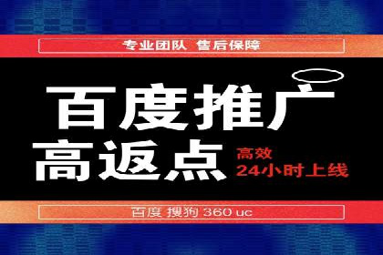 竞价SEM案例分享：行业霸主崛起之路